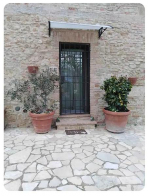 La Casina di Ancicucco 1